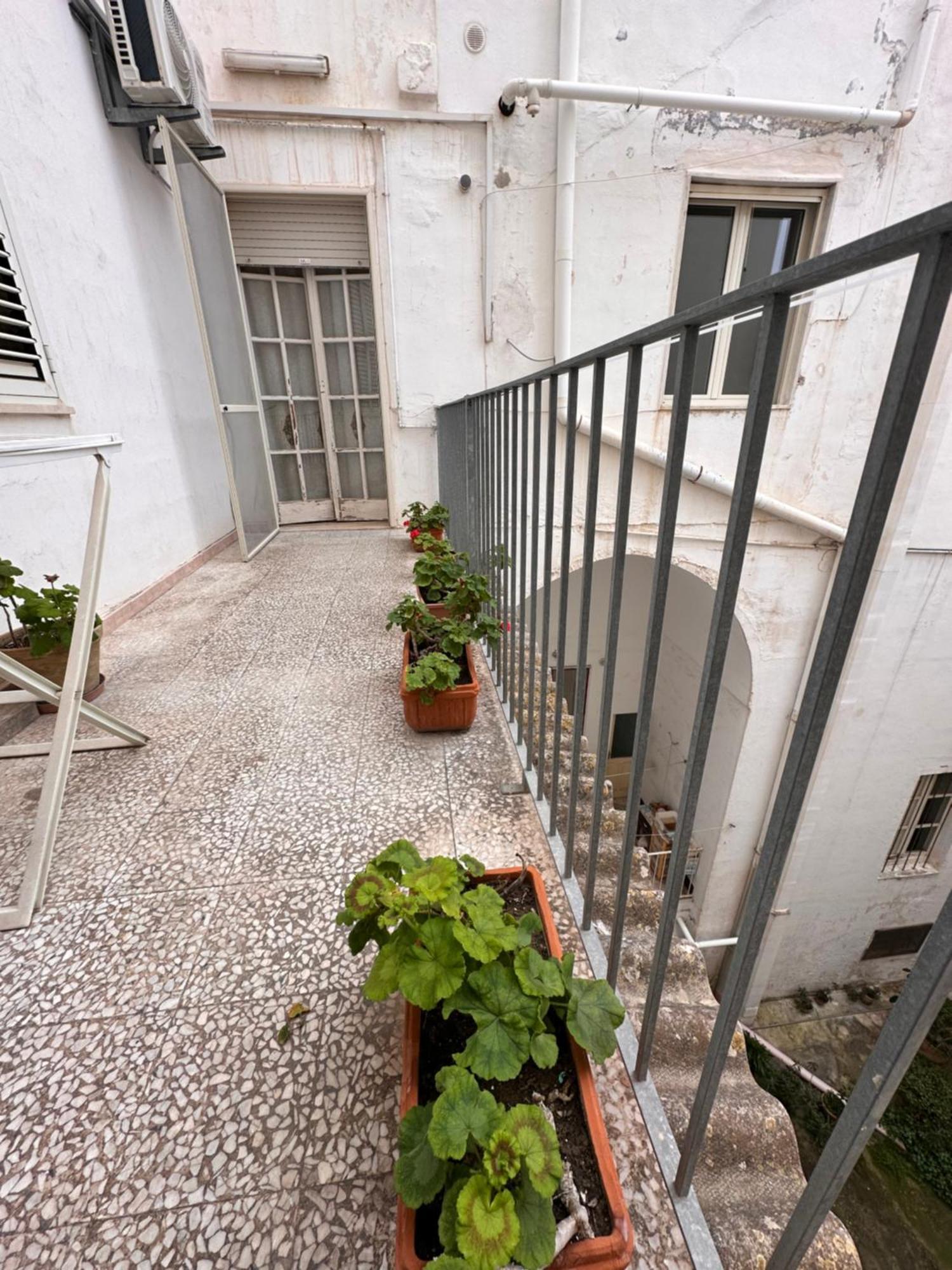 Apartment Lux House