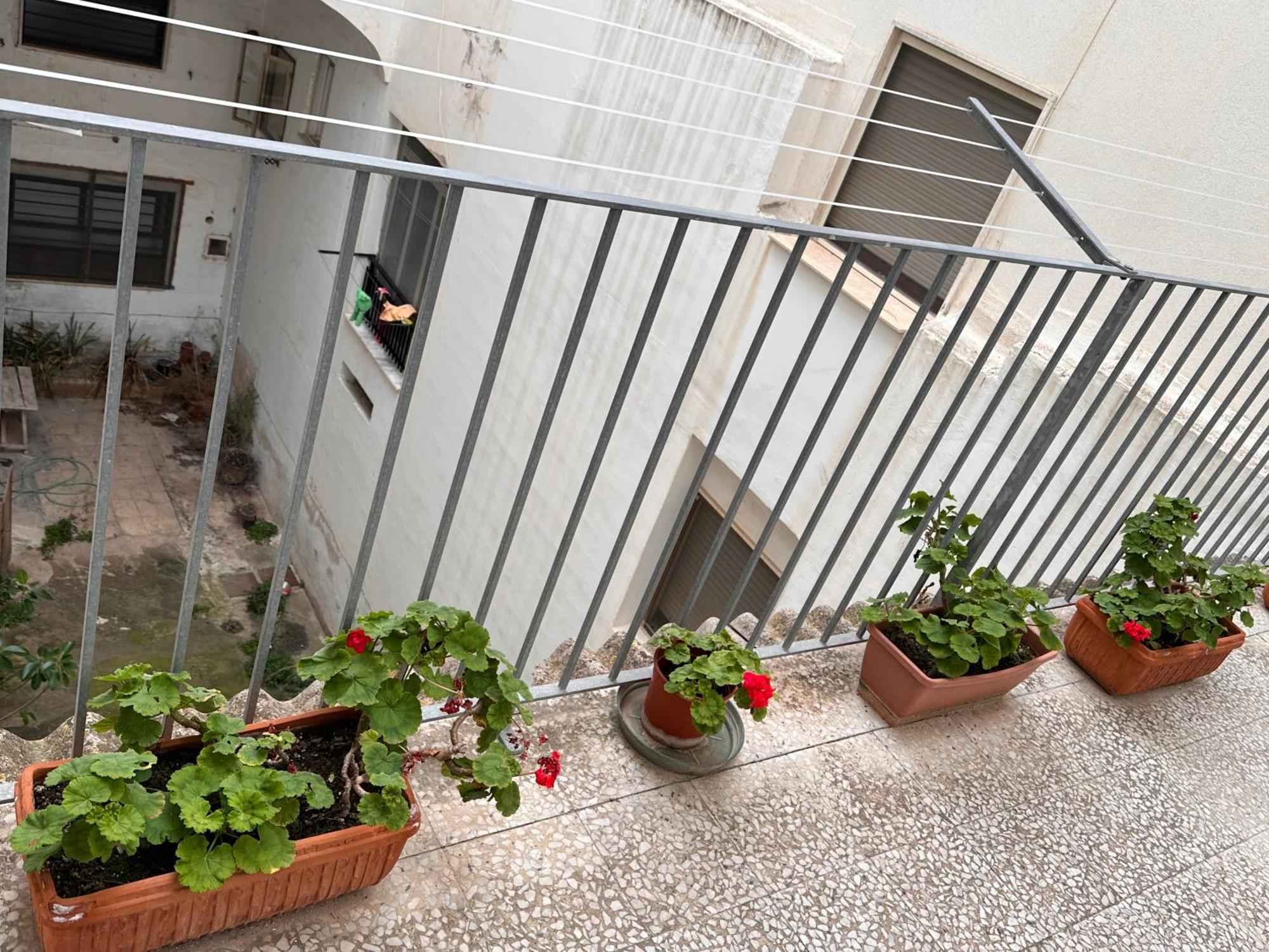 Apartment Lux House